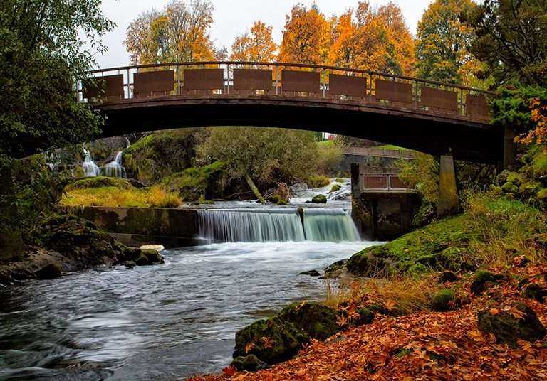 Bridge Over Serene Creek Landscape
