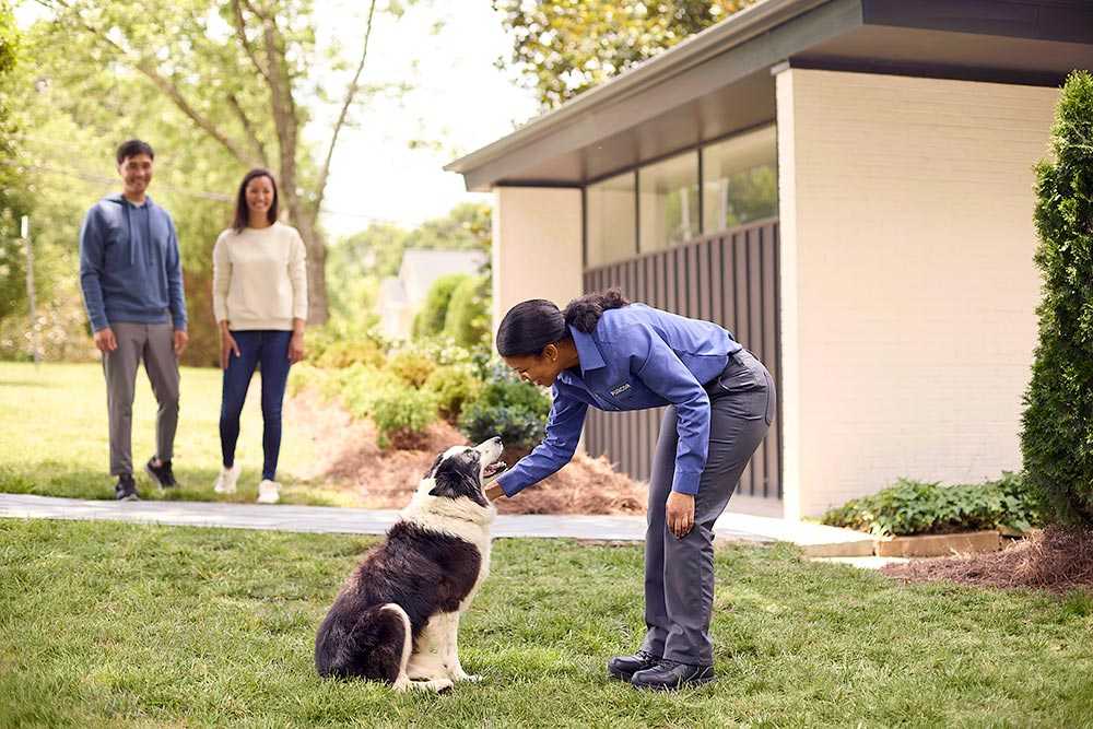 PURCOR Pest Solutions photo 2