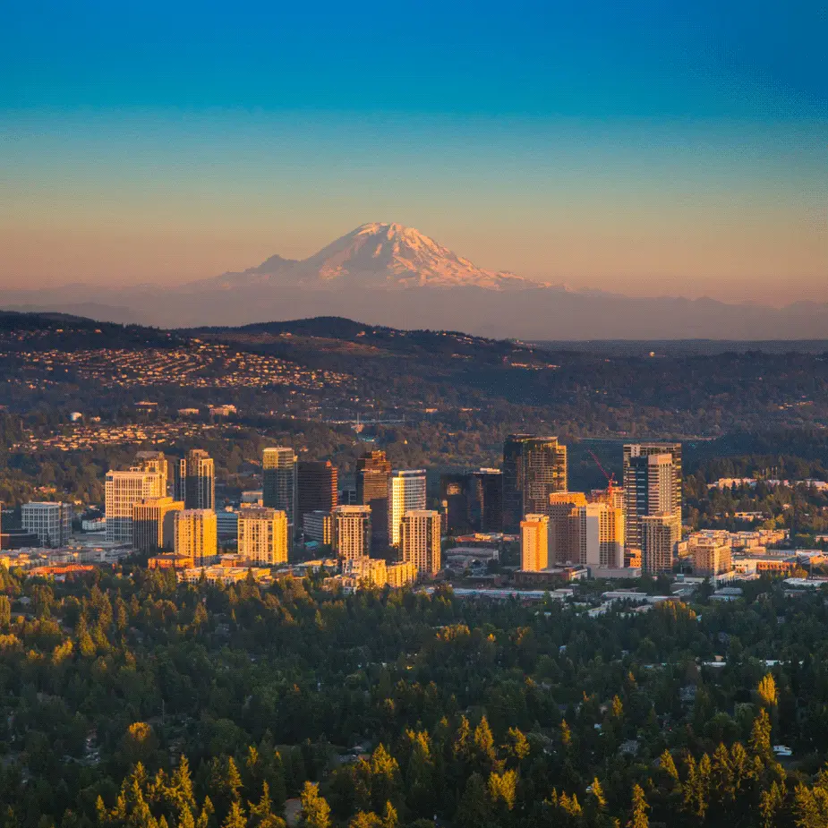Aerial view of a Western Washington City