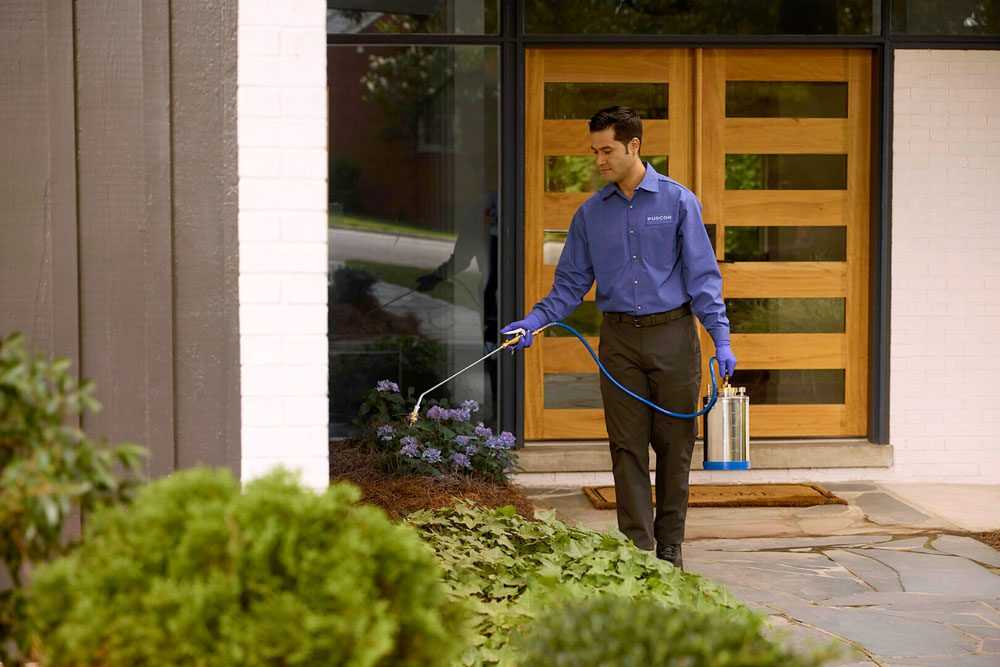 A pest technician wearing a blue shirt treats the outside of a home