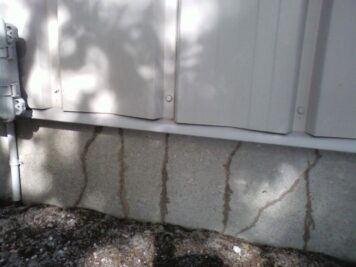 Termite Warning Signs | PURCOR Pest Solutions