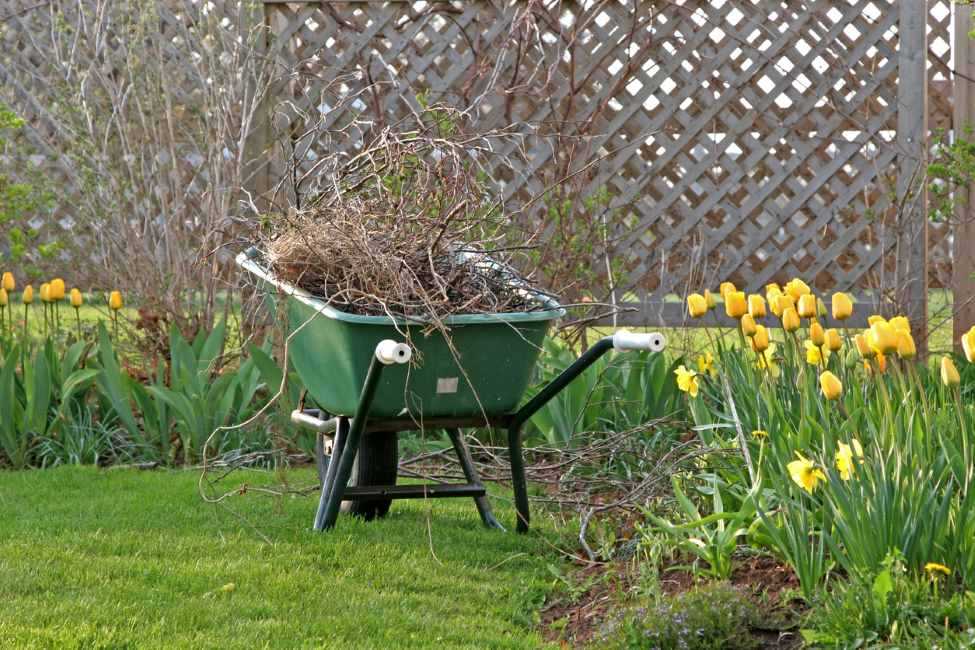 A wheelbarrow full of yard trimmings, surrounded by a flower bed