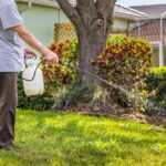 A person sprays weed killer from a garden sprayer onto grass in a yard, standing near hedges and a tree, helping maintain a healthy yard with lush lawns. A house and beautiful landscaping are visible in the background.