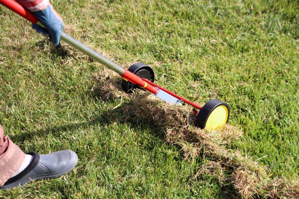 A person wearing gloves and outdoor shoes uses a manual lawn edger with yellow wheels to trim the grass along the edge of a lawn, practicing good lawn care to create a neat boundary for a healthier yard.